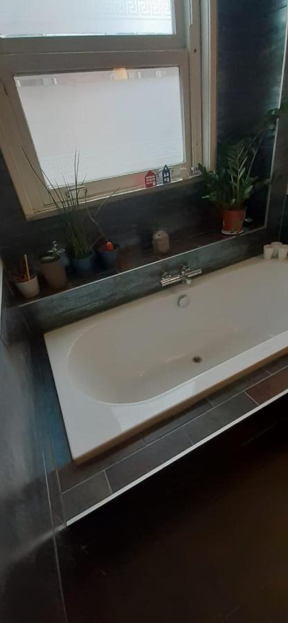 أمستردام Charlotte, Not For Parties, Not A Hotel, Room With Shared Bathroom, No Kitchen المظهر الخارجي الصورة